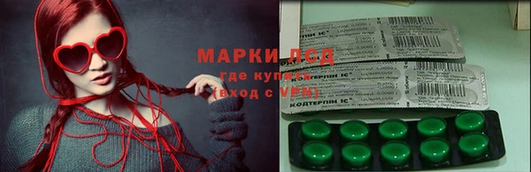 амф Липки